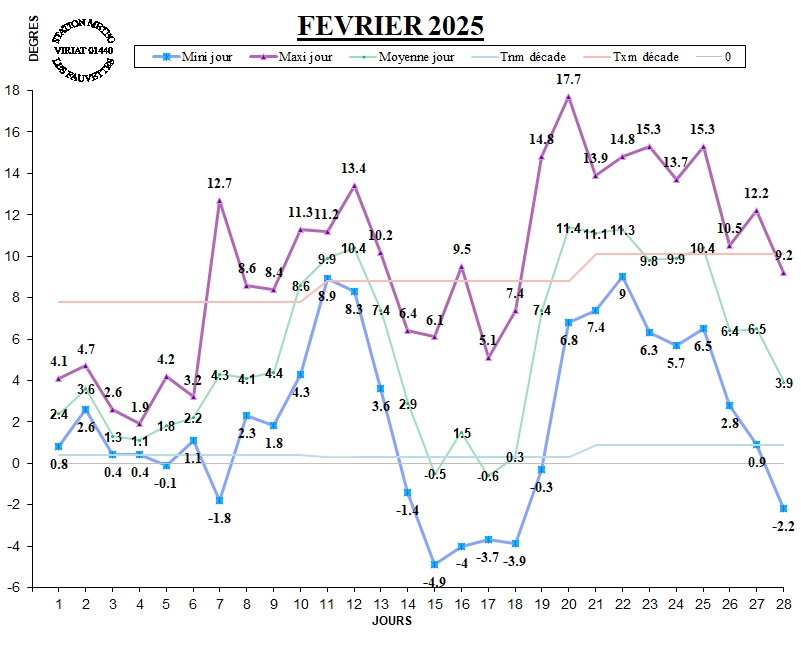 GRAPH TEMP 02-25.jpg